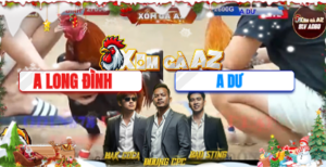 Trận 14 Bồ Tonhon 15/12/2025 - Kèo Độc Lạ Nặng Ký Băng Chân Phải Nhẹ Ký Băng Chân Trái