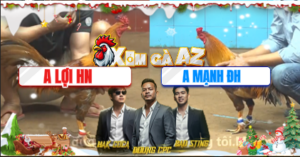 Trận 16 Bồ CPC4 15/12/2025 - Lợi Hồng Ngự Đưa Cọp Vào Đá 1 Chân Giết Hàng Hiệu