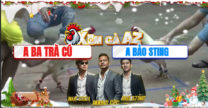 Trận 19 Bồ Xà Xía 19/12/2025 - Bảo Sting Bị Chấm Dứt Chuỗi Thắng Ở Trận Này