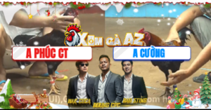 Trận 28 Bồ CPC4 15/12/2025 - Gà Anh Cường Siết Khủng Hoảng Buông Ra Cọp Gãy Giò