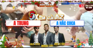 Trận 28 Bồ Tonhon 24/12/2025 - Hắc Coca Bị Anh Trung Dona Phản Kèo Phút 90