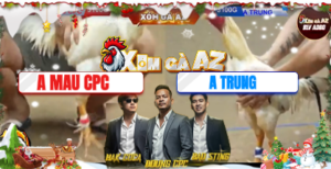 Trận 11 Bồ Tonhon 12/12/2025 - Trung Dona Phản Kèo Phút Quyết Định Đẳng Cấp