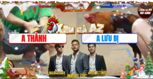 Trận 13 Bồ Tonhon 12/12/2025 - Lưu Bị Phản Kèo Phút Cuối Khiến Cả Bồ Bể Mình