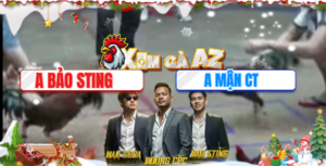 Trận 11 Bồ Xà Xía 19/12/2025 - Bảo Sting Tiếp Tục Làm Mưa Làm Gió Hôm Nay