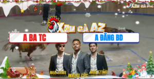 Trận 42 Bồ Xà Xía 19/12/2025 - Gà Đăng Bình Dương Không Ăn Nổi Anh Ba Trà Cú