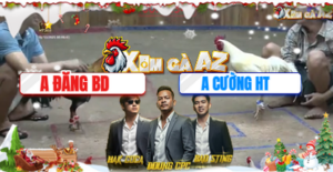 Trận 43 Bồ Xà Xía 19/12/2025 - Đăng Bình Dương Hạ Được Gà Chủ Bồ Hà Tiên