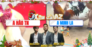 Trận 40 Bồ CPC3 14/12/2025 - Hào Tây Ninh Tiếp Tục Đi Làm Từ Thiện Hôm Nay