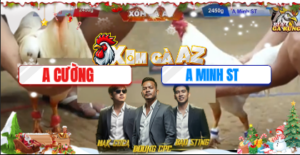 Trận 22 Bồ Tonhon 11/12/2025 - Trận Cuối Cùng Của Minh Ly Sóc Trăng Tại Tonhon