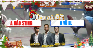 Trận 24 Bồ Xà Xía 7/12/2025 - Bảo Sting Gặp Cọp Chồng Độ Đến Từ Bạc Liêu