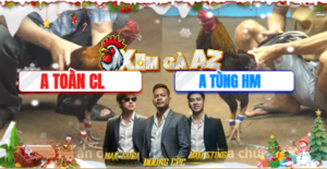 Trận 20 Bồ CPC4 17/12/2025 - Xám Cọp Anh Ton Đâm Gà Điều Lọt Ói Hết Phản