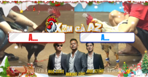 Trận 32 Bồ CPC4 13/12/2025 - Bướm Đá Lọt Chân Ông Địa Điều Khủng Bỏ Chạy