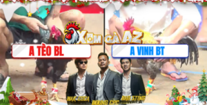 Trận 10 Bồ CPC3 21/12/2025 - Que Cọp Tèo Bảo Lộc Đá Gà Anh Vinh Bỏ Chạy