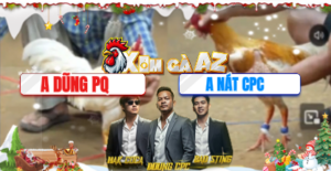 Trận 11 Bồ Tonhon 10/12/2025 - Mỹ Liều Bất Ngờ Ra Sân Thả Tại Tonhon