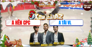 Trận 2 Bồ Tonhon 22/12/2025 - Tài Vĩnh Long Đưa Gà Chuối Đá Cánh Cam Té Xe