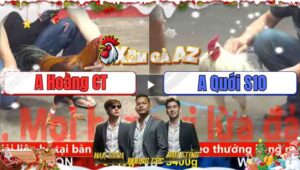 Trận 12 CPC5 1/12/2025