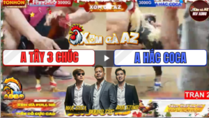 Trận 2 Tonhon 19/12/2025