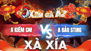 Trận 11 Bồ Xà Xía 1/1/2026 - Kiểm Cà Mau Hạ Nhanh Anh Bảo Sting