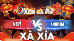 Trận 13 Bồ Xà Xía 14/1/2026 - Anh Quý Gặp Anh Chợ Cà Mau
