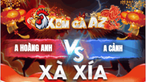 Trận 2 Bồ Xà Xía 15/1/2026 - Hoàng Anh Gặp Cọp Của Anh Mễn Vàm Rầy