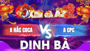 Trận 23 Bồ Dinh Bà 3/1/2026 - Hắc Coca Rớt Nài Trận 3 Nghìn Đô