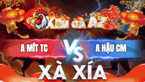 Trận 29 Bồ Xà Xía 1/1/2026 - Mít Trà Cú Ăn Anh Hậu Ở Phút 90