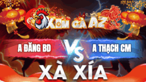 Trận 32 Bồ Xà Xia 1/1/2026 - Đăng Bình Dương Thua Cánh Kiểm Cà Mau
