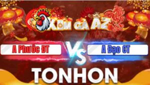 Trận 17 Tonhon 7/1/2026