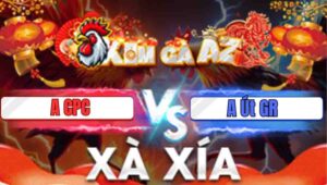 Trận 4 Xà Xía 12/1/2026