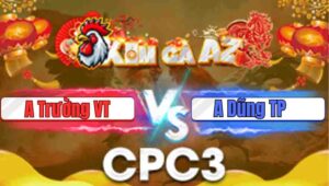 Ga Rung 3 Recovered Recovered Recovered Recovered Recovered Recovered Recovered Recovered Recovered Recovered Recovered Recovered Recovered Recovered Recovered 247