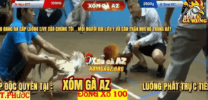 Trận 3 Bồ Thường Phước 17/1/2026 - Nu Đồng Tháp Ra Sân Tại Thường Phước