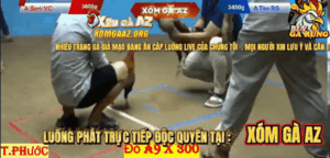 Trận 7 Bồ Thường Phước 17/1/2026 - Độ Gà Xổ 300 Triệu Căng Não Của Anh Sen