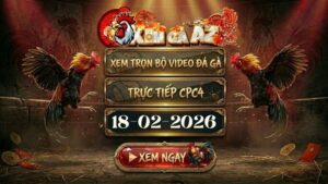 XOMGAAZ Xem Full Video Da Ga CPC4 Ngay 18022026