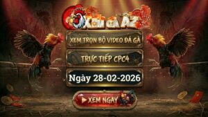 XOMGAAZ Xem Full Video Da Ga CPC4 Ngay 28022026