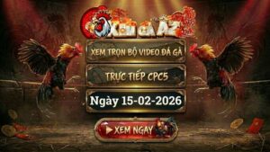 XOMGAAZ Xem Full Video Da Ga CPC5 Ngay 15022026