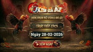 XOMGAAZ Xem Full Video Da Ga CPC5 Ngay 28022026