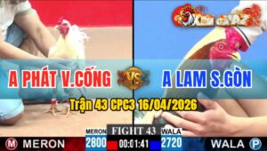 Trận 43 CPC3 16/04/2026 - Điều Đá Trên Chân  Úa Gãy Giò Bưng Ra Nhanh Gọn