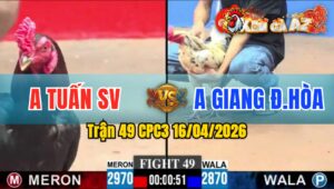 Trận 49 CPC3 16/04/2026 - Điều Đâm Bướm Hư Hình té xỉu